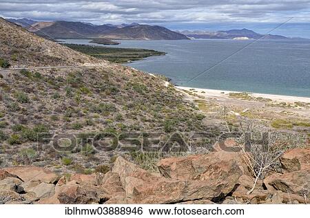"Coastal landscape, Bahia Concepcion, Mulege, Highway 1, Baja California, Mexico, North America" View Large Photo Image Stock Photograph - "Coastal landscape, Bahia Concepcion, Mulege, Highway 1, Baja California, Mexico, North America". Fotosearch