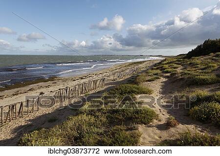 "Coastal landscape, Ile d'Oleron, Charente Maritime, France, Europe" View Large Photo Image Stock Image - "Coastal landscape, Ile d'Oleron, Charente Maritime, France, Europe". Fotosearch