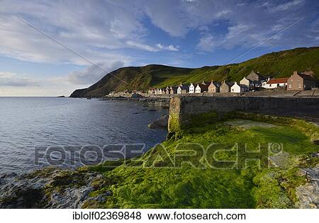 "Coastal landscape with green algae, large rocks, fishing village of Crovie, Banffshire, Scotland, United Kingdom, Europe" View Large Photo Image Stock Photo - "Coastal landscape with green algae, large rocks, fishing village of Crovie, Banffshire, Scotland, United Kingdom, Europe". Fotosearch