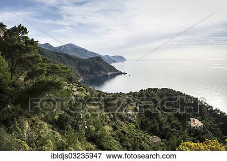 "Coastal landscape with mountains, Banyalbufar, Majorca, Balearic Islands, Spain, Europe" View Large Photo Image Stock Photo - "Coastal landscape with mountains, Banyalbufar, Majorca, Balearic Islands, Spain, Europe". Fotosearch