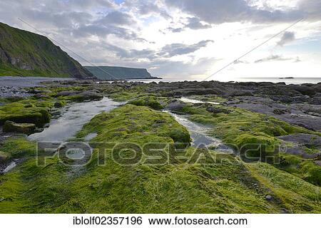 Stock Photograph - "Coastal landscape with seaweed and large rocks near Crovie, Banffshire, Scotland, United Kingdom, Europe". Fotosearch