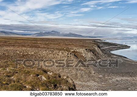 "Coastal landscape, Wrangel Island, UNESCO World Heritage site, Chukotka Autonomous Okrug, Russia, Europe" View Large Photo Image Stock Image - "Coastal landscape, Wrangel Island, UNESCO World Heritage site, Chukotka Autonomous Okrug, Russia, Europe". Fotosearch
