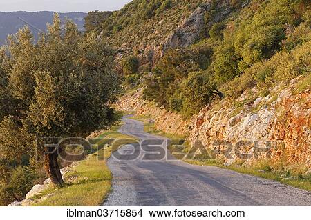 Picture - "Coastal road between Oludeniz and Faralya, Lycian coast, Oludeniz, Mugla Province, Aegean region, Turkey, Asia". Fotosearch