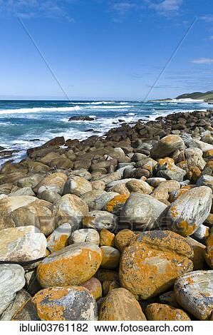 "Coastline, Cape of Good Hope Nature Reserve, Western Cape, South Africa, Africa" View Large Photo Image Stock Image - "Coastline, Cape of Good Hope Nature Reserve, Western Cape, South Africa, Africa". Fotosearch