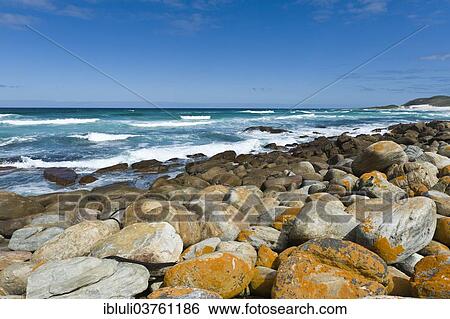 "Coastline, Cape of Good Hope Nature Reserve, Western Cape, South Africa, Africa" View Large Photo Image Stock Photograph - "Coastline, Cape of Good Hope Nature Reserve, Western Cape, South Africa, Africa". Fotosearch