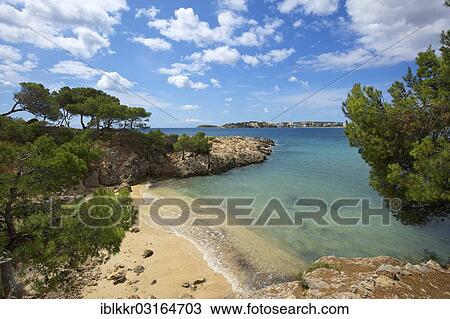 "Coastline, Costa d'en Blanes, Punta Negra, Palmanova, Majorca, Balearic Islands, Spain, Europe" View Large Photo Image Stock Image - "Coastline, Costa d'en Blanes, Punta Negra, Palmanova, Majorca, Balearic Islands, Spain, Europe". Fotosearch
