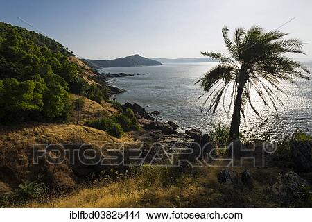 "Coastline, Gokarna, Karnataka, India, Asia" View Large Photo Image Picture - "Coastline, Gokarna, Karnataka, India, Asia". Fotosearch