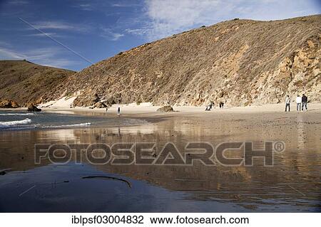 "Coastline of Big Sur, Big Sur, California, United States, North America" View Large Photo Image Stock Image - "Coastline of Big Sur, Big Sur, California, United States, North America". Fotosearch