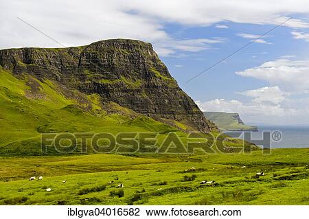 "Coastline on the Duirinish peninsula, Isle of Skye, Inner Hebrides, Scotland, United Kingdom, Europe" View Large Photo Image Stock Image - "Coastline on the Duirinish peninsula, Isle of Skye, Inner Hebrides, Scotland, United Kingdom, Europe". Fotosearch