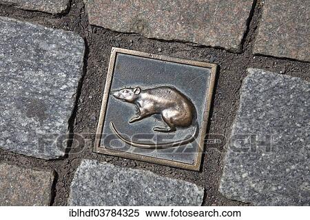 "Cobblestone with a rat, Hameln, Lower Saxony, Germany, Europe" View Large Photo Image Stock Photography - "Cobblestone with a rat, Hameln, Lower Saxony, Germany, Europe". Fotosearch