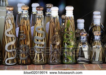 "Cobras and other dead snakes in bottles of liquor, Laos, Southeast Asia, Asia" View Large Photo Image Picture - "Cobras and other dead snakes in bottles of liquor, Laos, Southeast Asia, Asia". Fotosearch