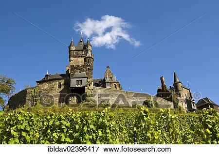 "Cochem Castle and vineyard, Rhineland-Palatinate, Germany, Europe" View Large Photo Image Stock Photo - "Cochem Castle and vineyard, Rhineland-Palatinate, Germany, Europe". Fotosearch