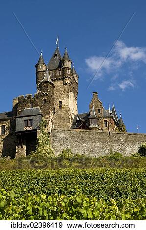 "Cochem Castle and vineyard, Rhineland-Palatinate, Germany, Europe" View Large Photo Image Stock Photo - "Cochem Castle and vineyard, Rhineland-Palatinate, Germany, Europe". Fotosearch