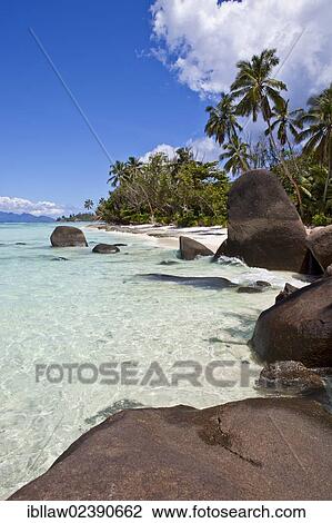 "Coconut Palms (Cocos nucifera) and granite rocks on the beach of Anse La Passe, Silhouette Island, Seychelles, Africa, Indian Ocean, Africa" View Large Photo Image Stock Image - "Coconut Palms (Cocos nucifera) and granite rocks on the beach of Anse La Passe, Silhouette Island, Seychelles, Africa, Indian Ocean, Africa". Fotosearch
