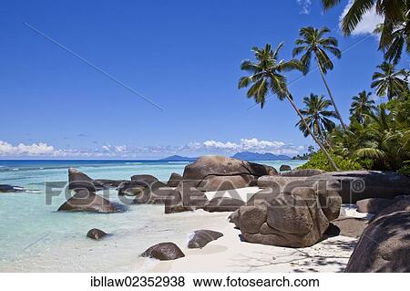 "Coconut Palms (Cocos nucifera) and granite rocks on the beach of Anse La Passe, Silhouette Island, Seychelles, Africa, Indian Ocean, Africa" View Large Photo Image Stock Photo - "Coconut Palms (Cocos nucifera) and granite rocks on the beach of Anse La Passe, Silhouette Island, Seychelles, Africa, Indian Ocean, Africa". Fotosearch