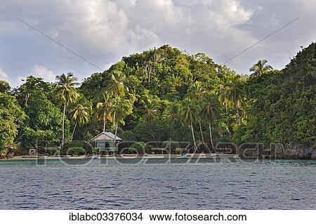 "Coconut Palms (Cocos nucifera), hut on a beach, Raja Ampat, West Papua, Indonesia, Asia" View Large Photo Image Picture - "Coconut Palms (Cocos nucifera), hut on a beach, Raja Ampat, West Papua, Indonesia, Asia". Fotosearch