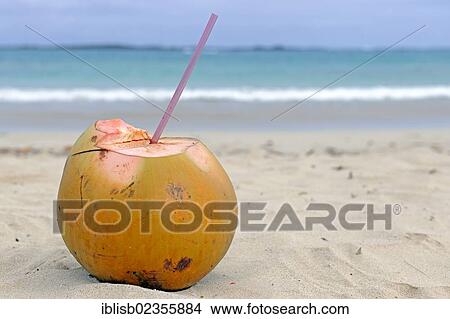 Picture - Coconut with a drinking straw on a tropical beach. Fotosearch