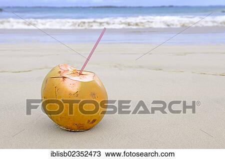 Coconut with a drinking straw on a tropical beach View Large Photo Image Stock Image - Coconut with a drinking straw on a tropical beach. Fotosearch