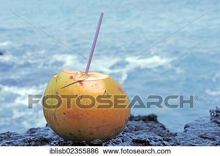 Stock Photograph - Coconut with a drinking straw on a rocky beach. Fotosearch