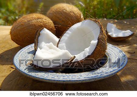 "Coconuts, whole and cut" View Large Photo Image Stock Photograph - "Coconuts, whole and cut". Fotosearch