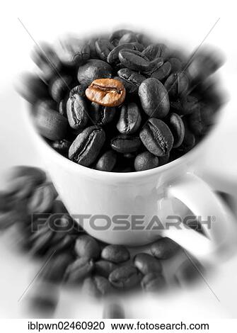 Coffee beans in a coffee cup View Large Photo Image Stock Image - Coffee beans in a coffee cup. Fotosearch