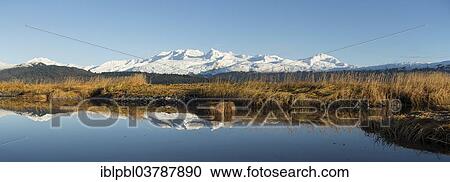 "College Fjord, Prince William Sound, Alaska, USA" View Large Photo Image Stock Image - "College Fjord, Prince William Sound, Alaska, USA". Fotosearch