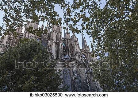 "Cologne Cathedral, north side, seen through foliage, Koln Rheinland, Cologne, Rhineland, North Rhine-Westphalia, Germany, Europe" View Large Photo Image Stock Image - "Cologne Cathedral, north side, seen through foliage, Koln Rheinland, Cologne, Rhineland, North Rhine-Westphalia, Germany, Europe". Fotosearch