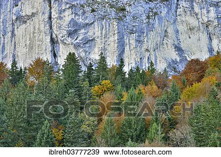 "Colourful autumn forest in front of a rock face, Berglsteiner See Lake, Breitenbach, Tyrol, Austria, Europe" View Large Photo Image Stock Photo - "Colourful autumn forest in front of a rock face, Berglsteiner See Lake, Breitenbach, Tyrol, Austria, Europe". Fotosearch