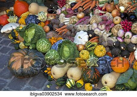 "Colourful display of different varieties of vegetables at a market stall, Colmar, Alsace, France, Europe" View Large Photo Image Picture - "Colourful display of different varieties of vegetables at a market stall, Colmar, Alsace, France, Europe". Fotosearch
