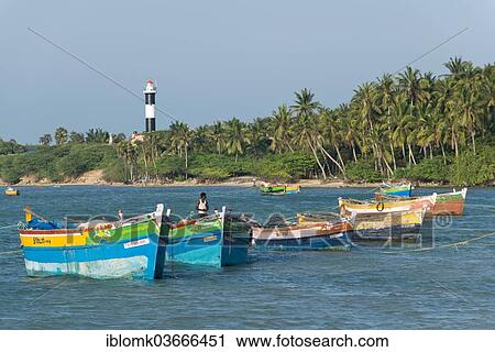 "Colourful fishing boats and palm trees, lighthouse at back, Rameswaram, Pamban Island, Tamil Nadu, India, Asia" View Large Photo Image Stock Image - "Colourful fishing boats and palm trees, lighthouse at back, Rameswaram, Pamban Island, Tamil Nadu, India, Asia". Fotosearch
