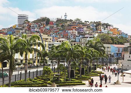 "Colourful houses in the Las Penas district, historical centre, Cerro Santa Ana, Guayaquil, Guayas Province, Ecuador, South America" View Large Photo Image Stock Photo - "Colourful houses in the Las Penas district, historical centre, Cerro Santa Ana, Guayaquil, Guayas Province, Ecuador, South America". Fotosearch