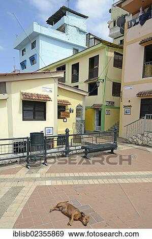 Stock Photo - "Colourful houses in the Las Penas neighbourhood on Cerro Santa Ana, Guayaquil, Ecuador, South America". Fotosearch