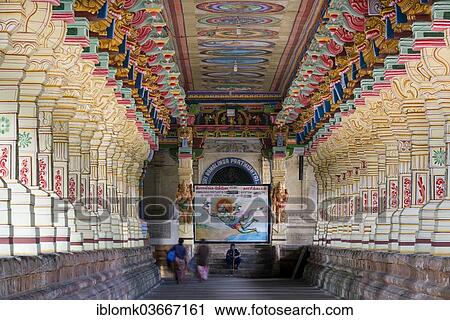 "Colourfully painted columns, Ramanathaswami Temple, Rameswaram, Pamban Island, Tamil Nadu, India, Asia" View Large Photo Image Stock Image - "Colourfully painted columns, Ramanathaswami Temple, Rameswaram, Pamban Island, Tamil Nadu, India, Asia". Fotosearch