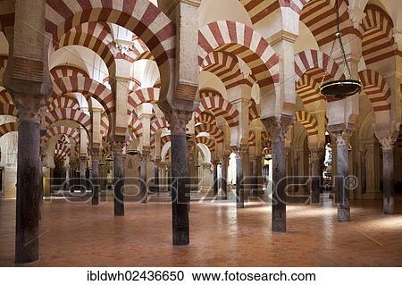 Stock Image - "Columns of the prayer hall, Mezquita, Mosque? ÇôCathedral of Cordoba, now a cathedral, formerly a mosque, Cordoba, Andalusia, Spain, Europe". Fotosearch