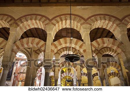 "Columns of the prayer hall, Mezquita, Mosque? ÇôCathedral of Cordoba, now a cathedral, formerly a mosque, Cordoba, Andalusia, Spain, Europe" View Large Photo Image Stock Photo - "Columns of the prayer hall, Mezquita, Mosque? ÇôCathedral of Cordoba, now a cathedral, formerly a mosque, Cordoba, Andalusia, Spain, Europe". Fotosearch