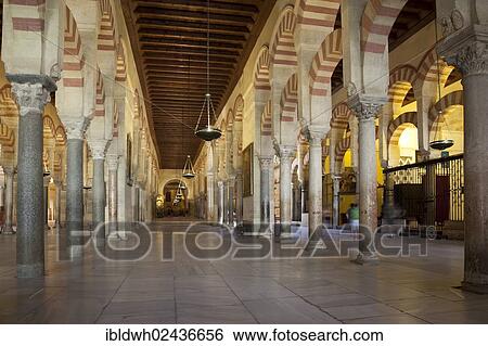 "Columns of the prayer hall, Mezquita, Mosque? ÇôCathedral of Cordoba, now a cathedral, formerly a mosque, Cordoba, Andalusia, Spain, Europe" View Large Photo Image Stock Photograph - "Columns of the prayer hall, Mezquita, Mosque? ÇôCathedral of Cordoba, now a cathedral, formerly a mosque, Cordoba, Andalusia, Spain, Europe". Fotosearch