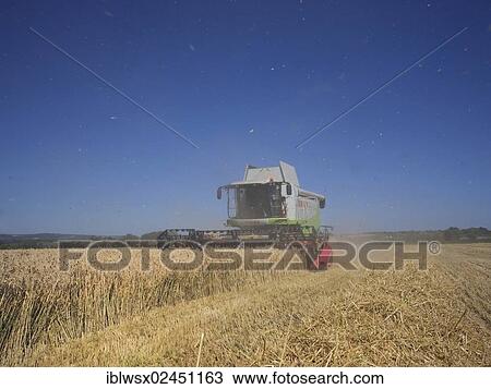 Stock Image - "Combine harvester harvesting a crop of grain, Brittany, Finistere, France, Europe". Fotosearch