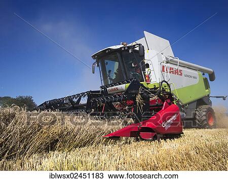 "Combine harvester harvesting a crop of grain, Brittany, Finistere, France, Europe" View Large Photo Image Stock Image - "Combine harvester harvesting a crop of grain, Brittany, Finistere, France, Europe". Fotosearch
