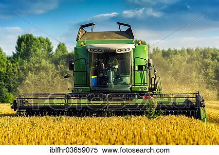 "Combine harvester harvesting grain, Grevenbroich, North Rhine-Westphalia, Germany, Europe" View Large Photo Image Stock Photography - "Combine harvester harvesting grain, Grevenbroich, North Rhine-Westphalia, Germany, Europe". Fotosearch