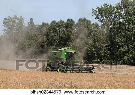 "Combine harvester harvesting, view of a field, severe dust, grain harvest, Rhineland region, North Rhine-Westphalia, Germany, Europe, PublicGround, Europe" View Large Photo Image Stock Photo - "Combine harvester harvesting, view of a field, severe dust, grain harvest, Rhineland region, North Rhine-Westphalia, Germany, Europe, PublicGround, Europe". Fotosearch