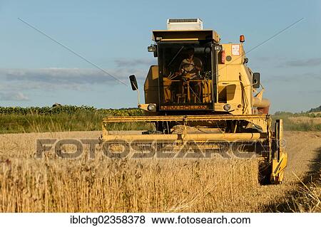 "Combine harvester in wheat field, Moissat, Limagne plain, Puy de Dome, Auvergne, France, Europe" View Large Photo Image Stock Photo - "Combine harvester in wheat field, Moissat, Limagne plain, Puy de Dome, Auvergne, France, Europe". Fotosearch