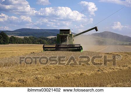 "Combine harvester working in a wheat field, Buttlar, Buttlar, Thuringia, Germany, Europe" View Large Photo Image Stock Image - "Combine harvester working in a wheat field, Buttlar, Buttlar, Thuringia, Germany, Europe". Fotosearch