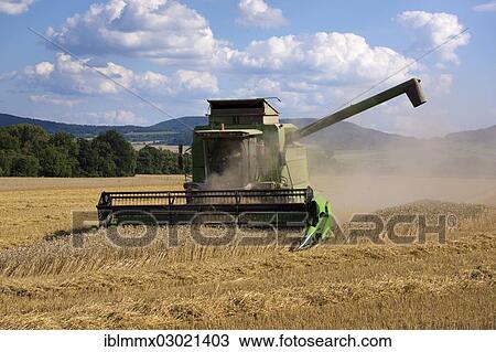 "Combine harvester working in a wheat field, Buttlar, Buttlar, Thuringia, Germany, Europe" View Large Photo Image Stock Image - "Combine harvester working in a wheat field, Buttlar, Buttlar, Thuringia, Germany, Europe". Fotosearch