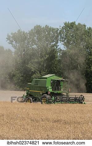 Stock Image - "Combined harvester harvesting cereals, severe dust, PublicGround". Fotosearch