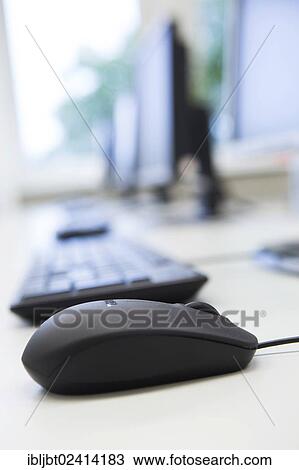 Computer monitors, keyboards and mouse in a training classroom View Large Photo Image Stock Image - Computer monitors, keyboards and mouse in a training classroom. Fotosearch