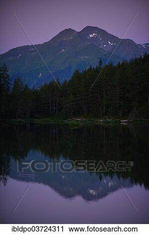 "Conifer forest on lake Moserer See, purple sky, the Rietzer Grieskogel or Rietzer Griesskogel mountain at back, near Mosern, Tyrol, Austria, Europe" View Large Photo Image Stock Image - "Conifer forest on lake Moserer See, purple sky, the Rietzer Grieskogel or Rietzer Griesskogel mountain at back, near Mosern, Tyrol, Austria, Europe". Fotosearch