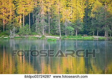 "Conifer forest reflected in lake Moserer See in the morning light, near Mosern, Tyrol, Austria, Europe" View Large Photo Image Stock Photo - "Conifer forest reflected in lake Moserer See in the morning light, near Mosern, Tyrol, Austria, Europe". Fotosearch