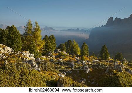 "Coniferous mixed forest at the Sella Pass, Stony Town, views towards Gardena Pass, Sella Group, right, mountains Rotspitze and Tschierspitze at back, Sella Pass, Dolomites, South Tyrol, Italy, Europe" View Large Photo Image Picture - "Coniferous mixed forest at the Sella Pass, Stony Town, views towards Gardena Pass, Sella Group, right, mountains Rotspitze and Tschierspitze at back, Sella Pass, Dolomites, South Tyrol, Italy, Europe". Fotosearch