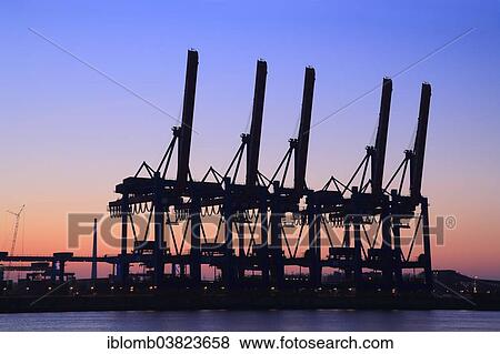 "Container bridges, gantry cranes, Container Terminal Altenwerder, container port, Port of Hamburg, Hamburg, Germany, Europe" View Large Photo Image Stock Photo - "Container bridges, gantry cranes, Container Terminal Altenwerder, container port, Port of Hamburg, Hamburg, Germany, Europe". Fotosearch