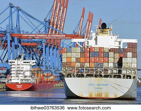 "Container ship OOCL Antwerp with a feeder ship, Altenwerder container terminal, Hamburg, Hamburg, Germany, Europe" View Large Photo Image Stock Photograph - "Container ship OOCL Antwerp with a feeder ship, Altenwerder container terminal, Hamburg, Hamburg, Germany, Europe". Fotosearch